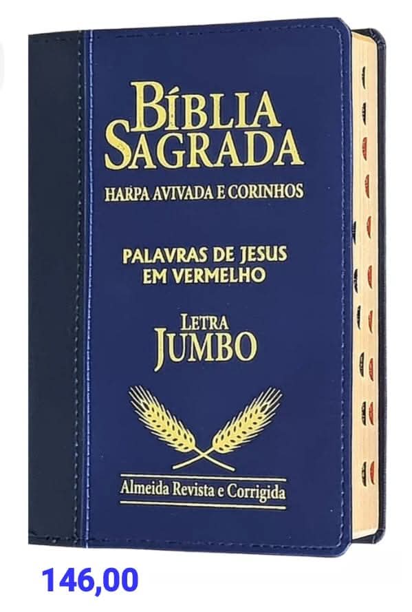 Imagem do WhatsApp de 2025-12-04 à(s) 21.06.43_56cbd25e