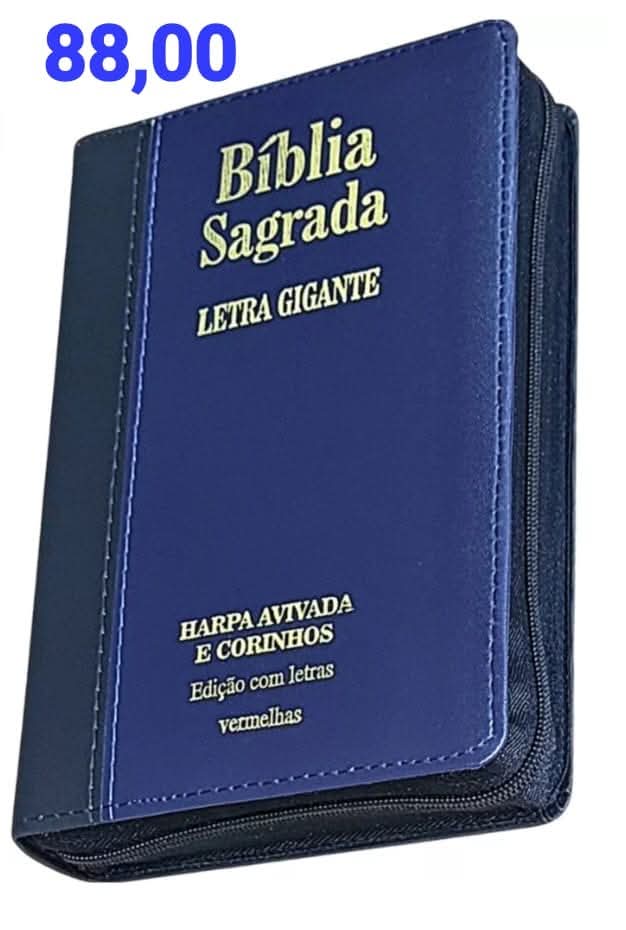 Imagem do WhatsApp de 2025-12-04 à(s) 21.06.44_592f5de2