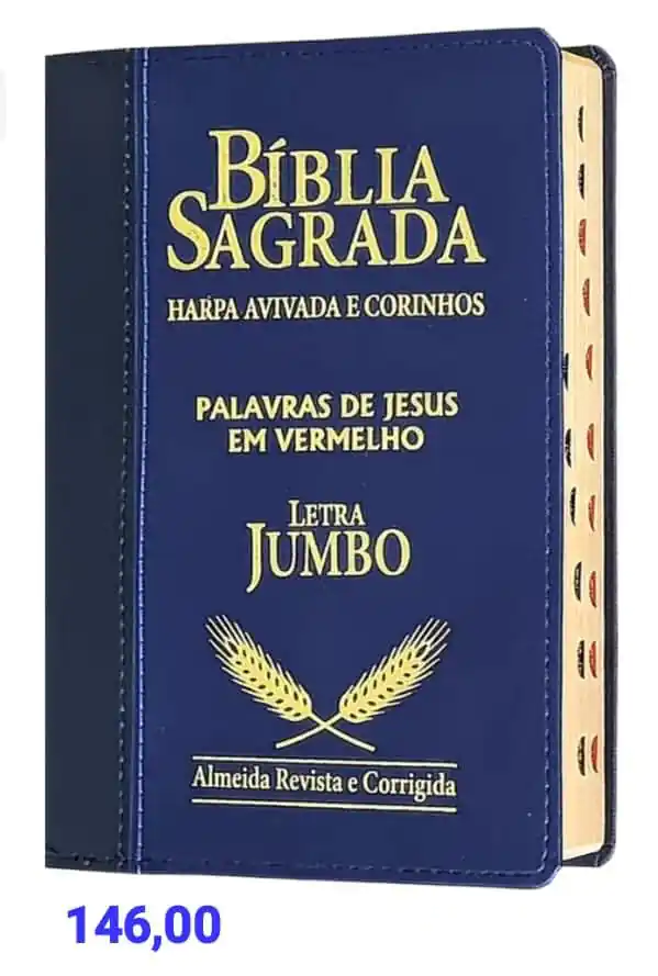 Imagem do WhatsApp de 2025-12-04 à(s) 21.06.43_56cbd25e
